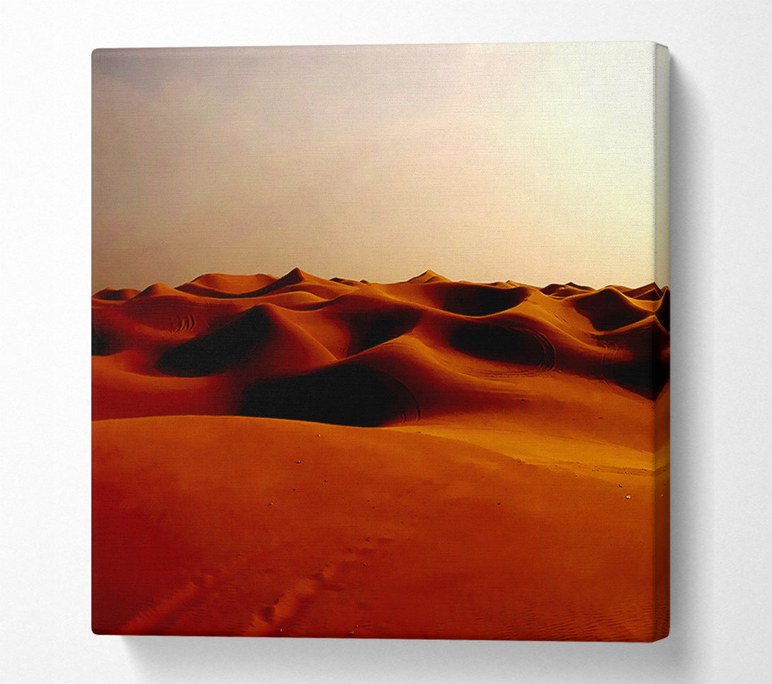  A Canvas Print of Desert Sands Canvas Print