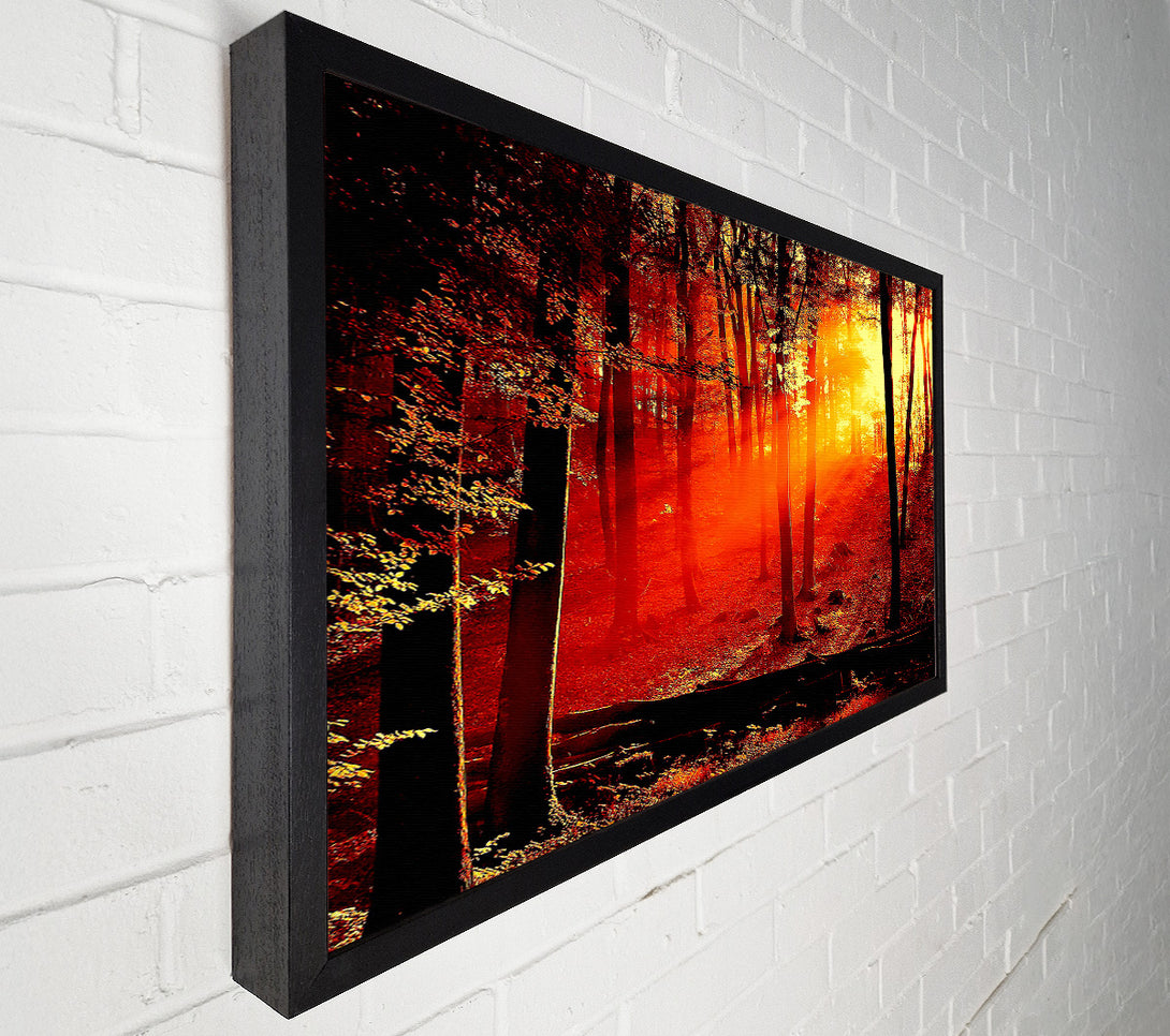  A Canvas Print of Red Woodland Beam Canvas Wall Art