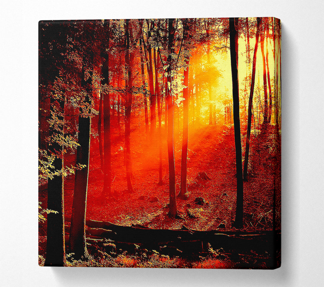 A Canvas Print of Red Woodland Beam Canvas Wall Art