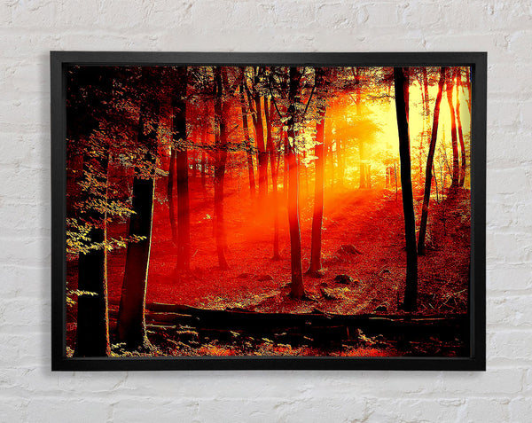 Red Woodland Beam Framed Print