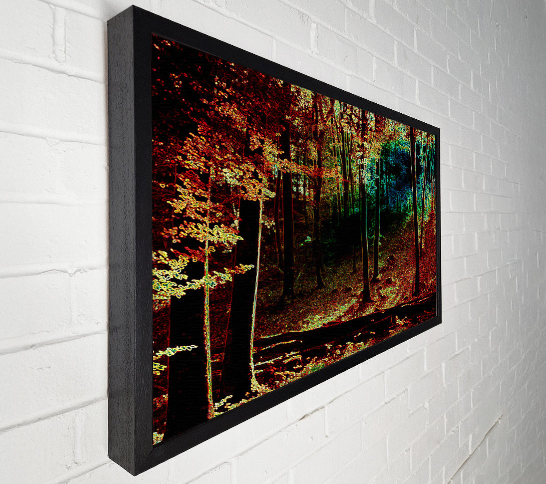  A Canvas Print of Rainbow Forrest 03 Canvas Print