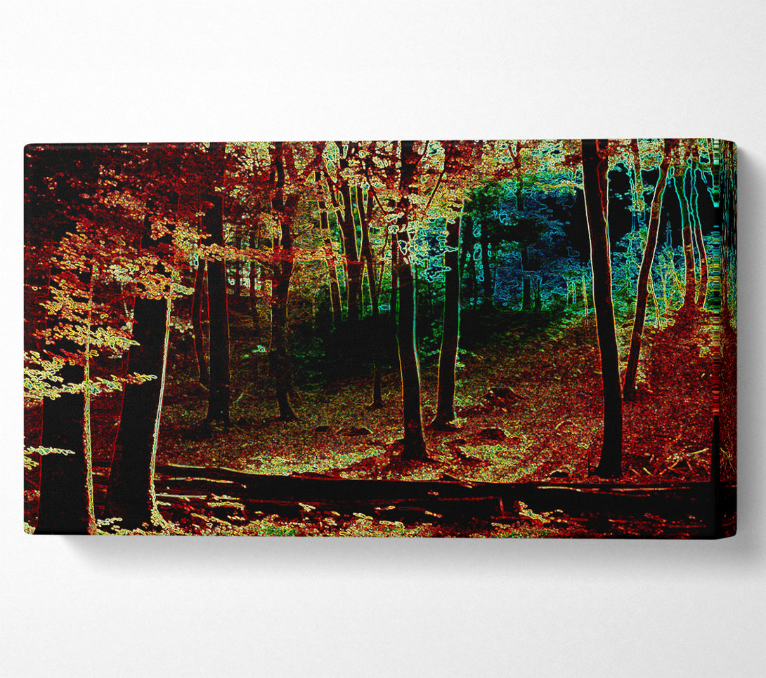  A Canvas Print of Rainbow Forrest 03 Canvas Print