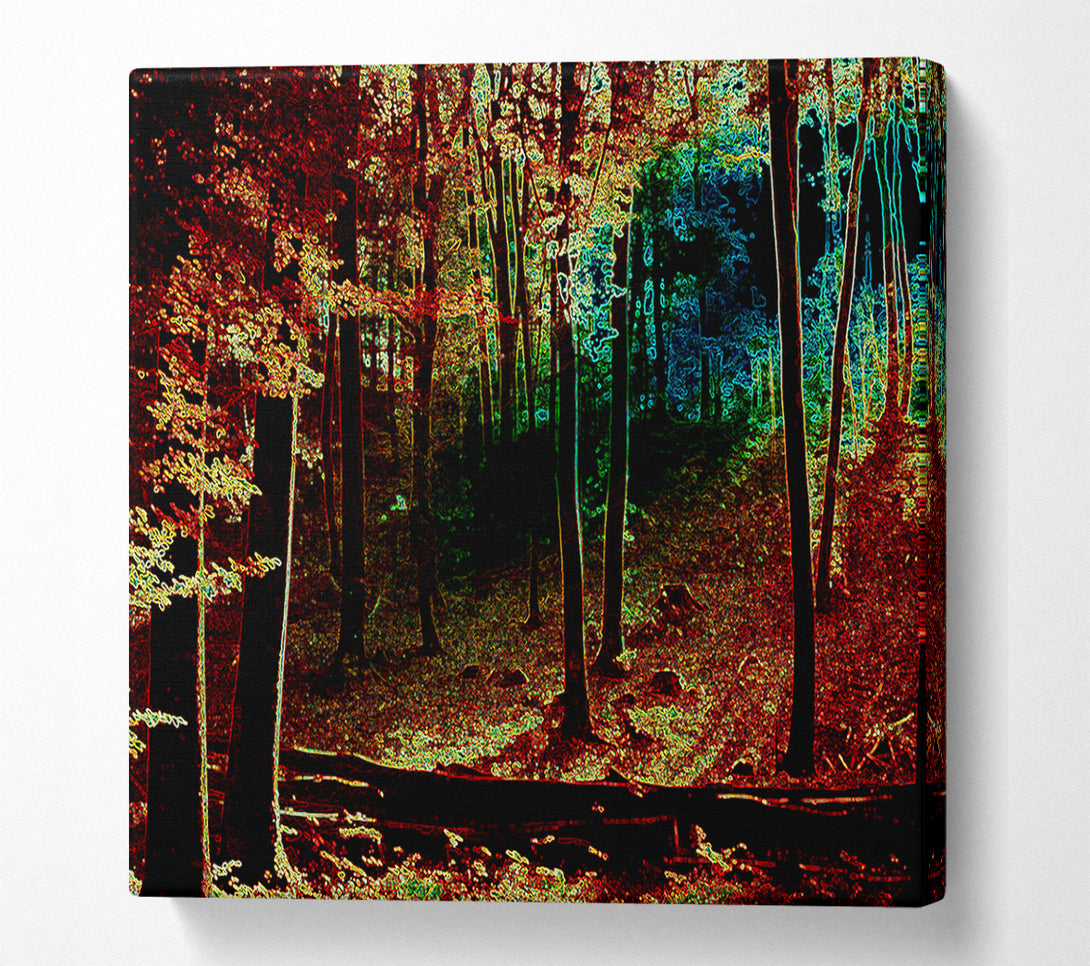 A Canvas Print of Rainbow Forrest 03 Canvas Print