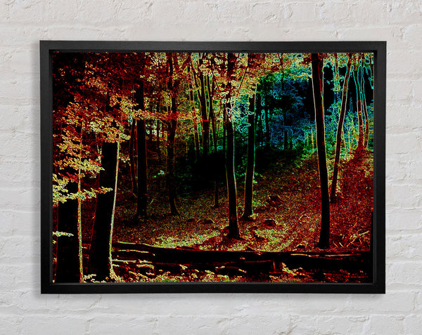 Rainbow Forrest 03 Framed Print