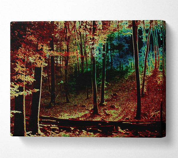  A Canvas Print of Rainbow Forrest 03 Canvas Print