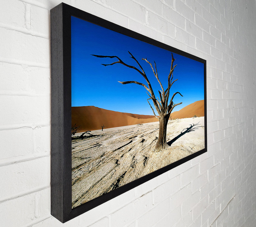  A Canvas Print of Desert Tree Branches Canvas Print
