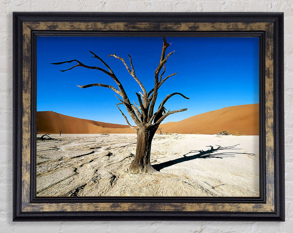 Desert Tree Branches Framed Print