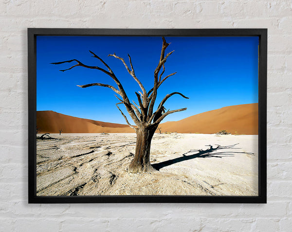 Desert Tree Branches Framed Print