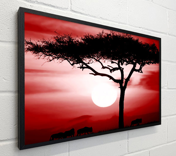 African Safari Red