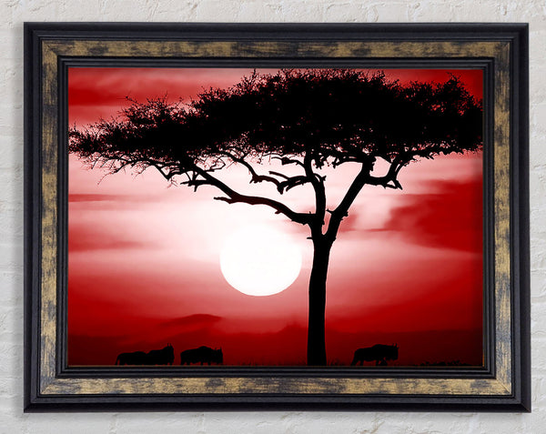 African Safari Red Framed Print