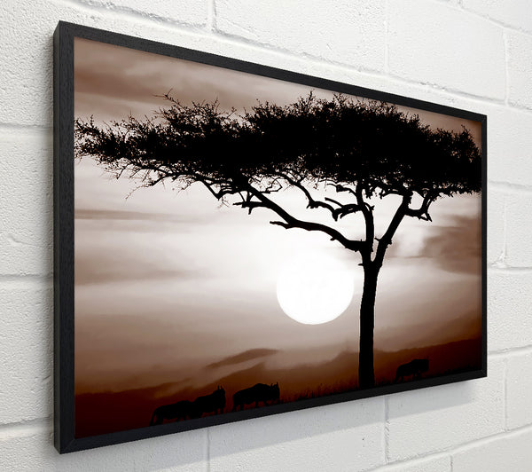 African Safari Brown