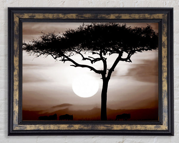 African Safari Brown Framed Print