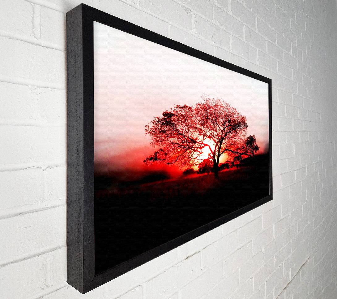  A Canvas Print of Red Sunrise Oak Tree Canvas Art