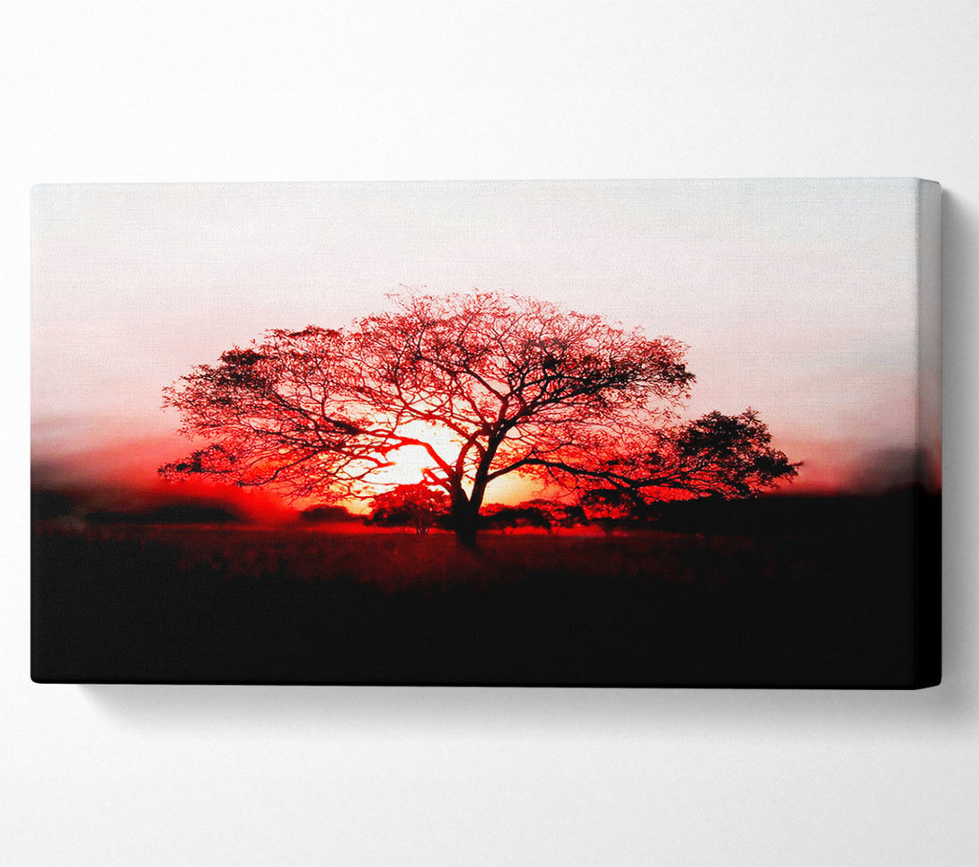  A Canvas Print of Red Sunrise Oak Tree Canvas Art