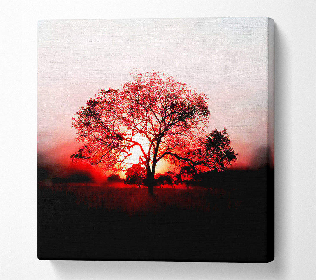  A Canvas Print of Red Sunrise Oak Tree Canvas Art