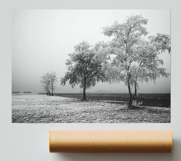 Winter Mist B N W Print