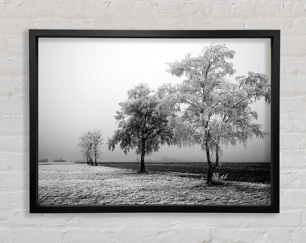 Winter Mist B n W Framed Print