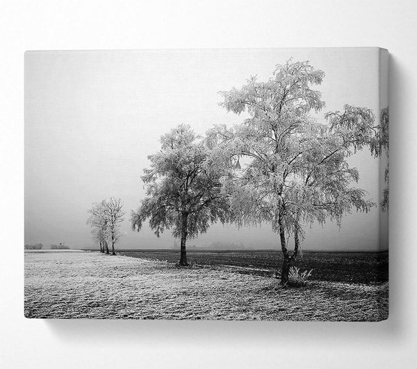  A Canvas Print of Winter Mist B n W Canvas Print