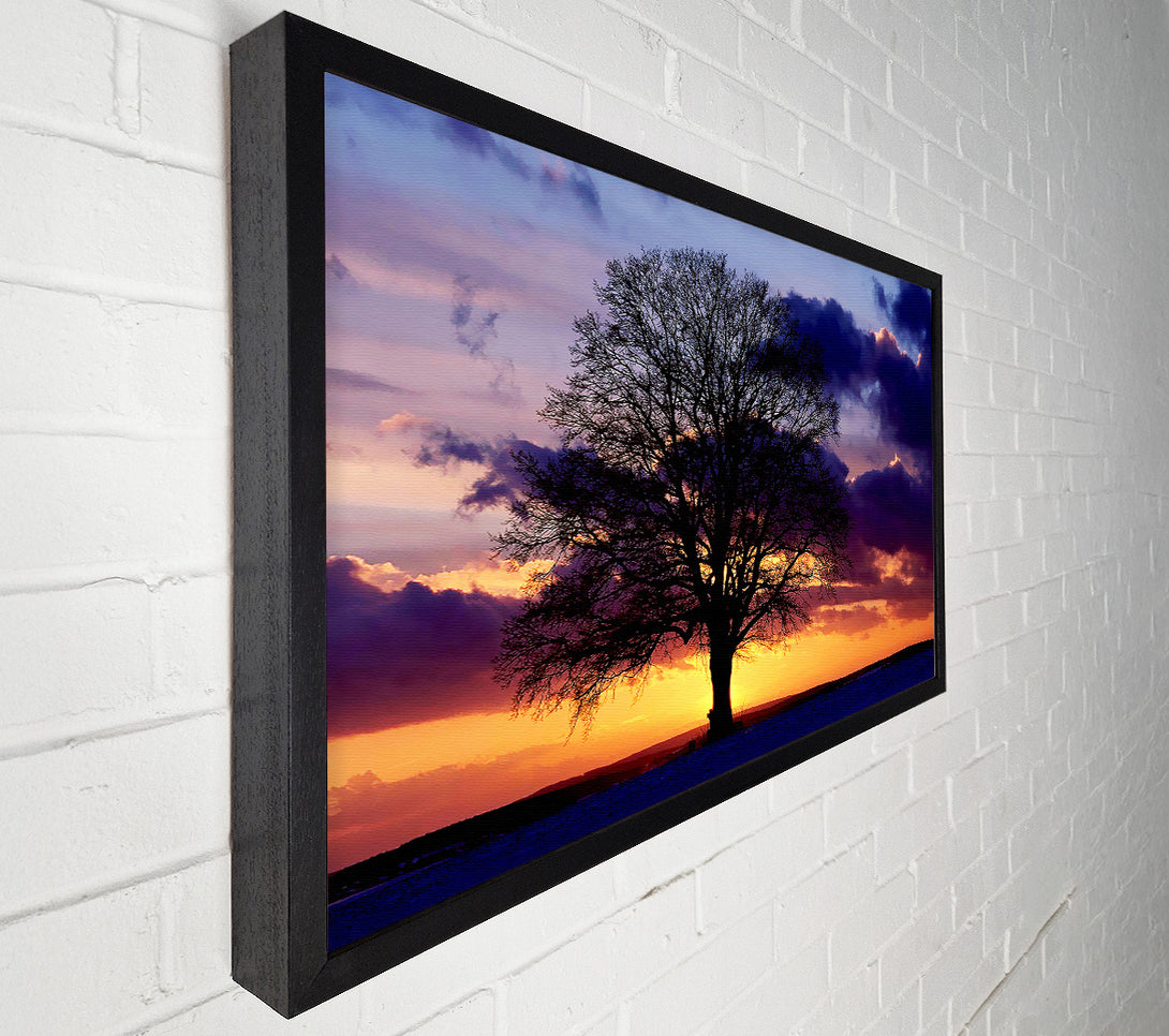 A Canvas Print of Oak Trees Light Canvas Wall Art