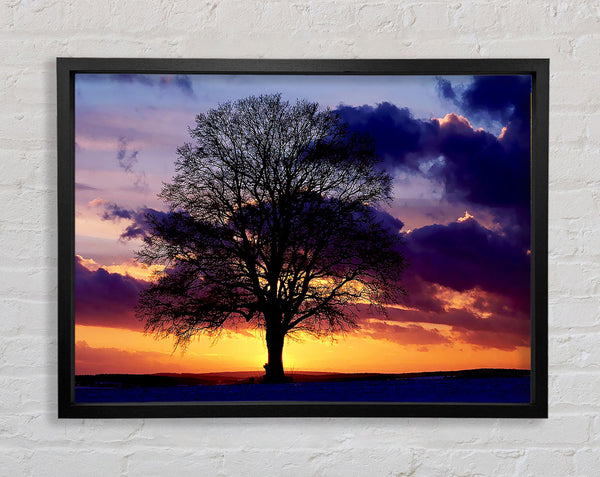 Oak Trees Light Framed Print