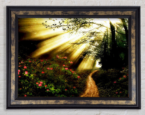 Mystical Garden Path Framed Print