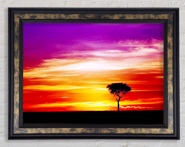 Lonsome Tree Framed Print