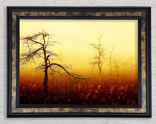 Treeline Mist Framed Print
