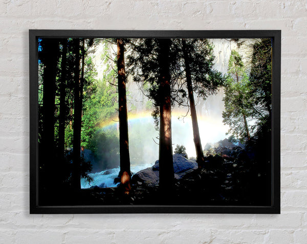 Rainbow In The Woodland Framed Print
