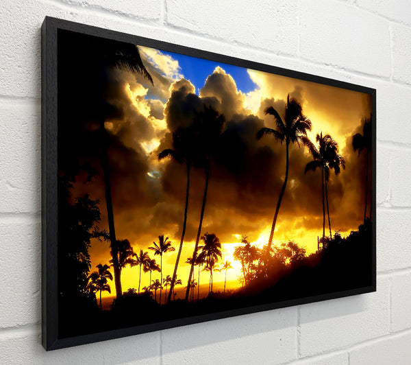 Palmtrees In The Clouds