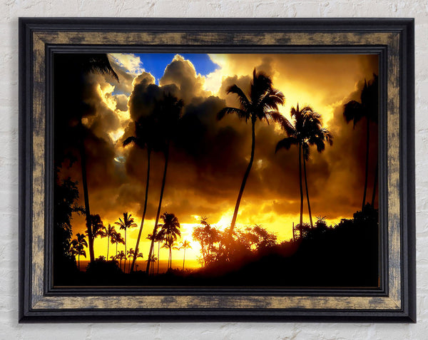 Palmtrees In The Clouds Framed Print