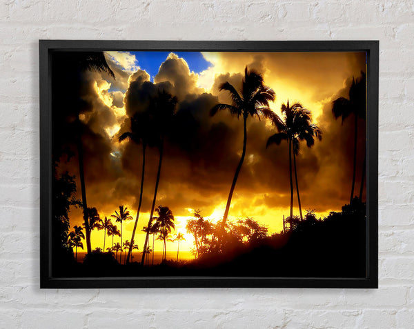 Palmtrees In The Clouds Framed Print