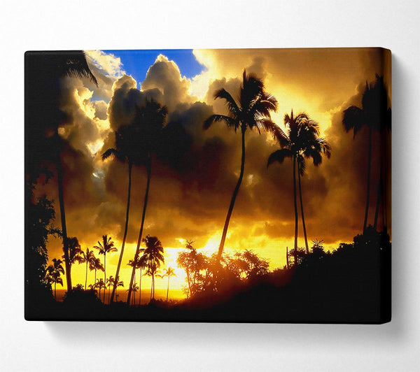  A Canvas Print of Palmtrees In The Clouds Canvas Print