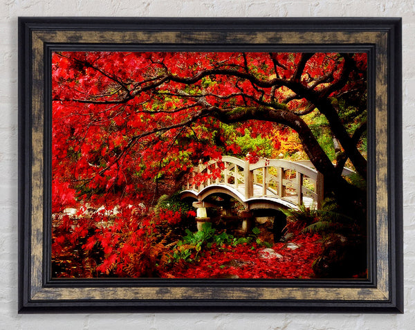 Bridge Over The Red Tree River Framed Print