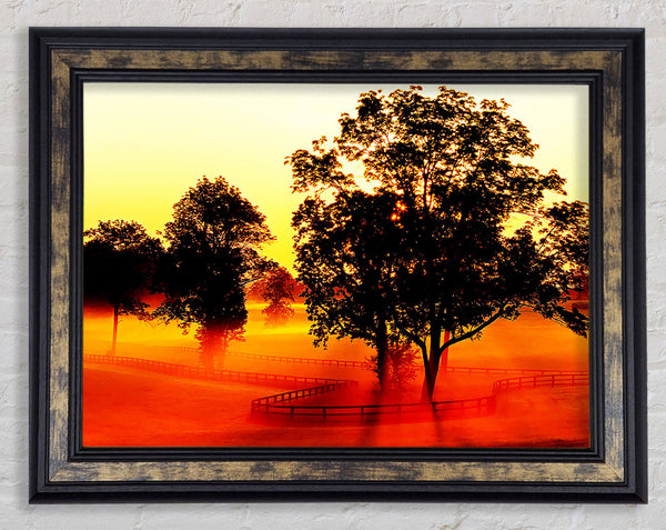 Orange Treeline Mist Framed Print