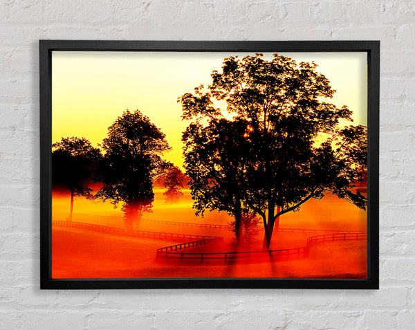Orange Treeline Mist Framed Print
