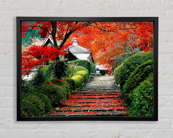 Red Autumn Garden Framed Print