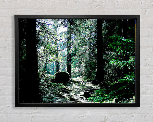 Trickling Stream Framed Print