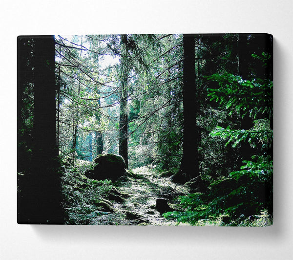  A Canvas Print of Trickling Stream Canvas Wall Art