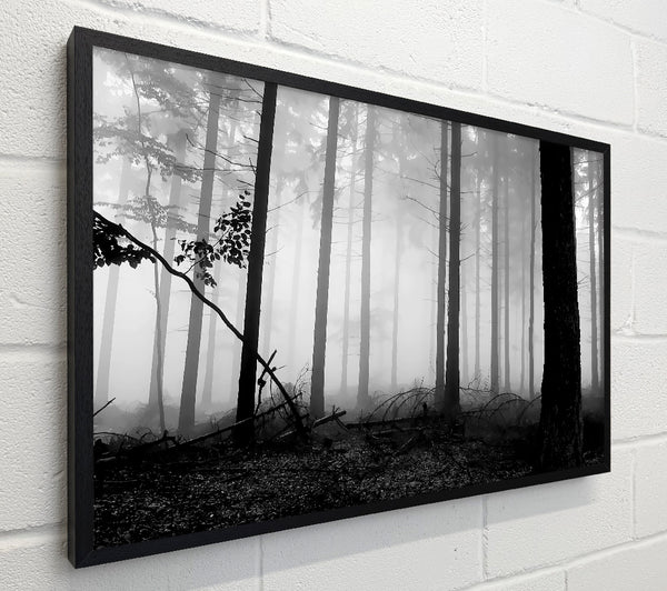 Black n White Woodland Mist