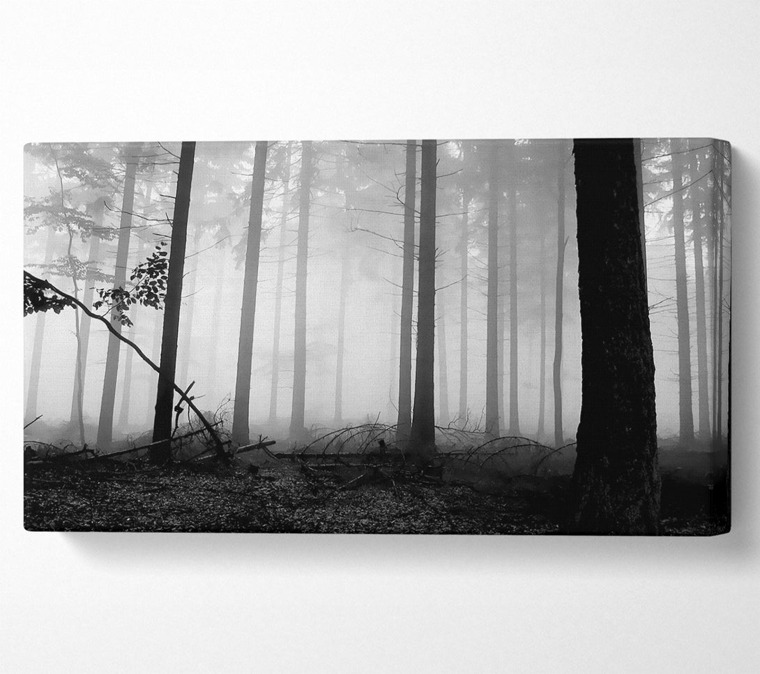  A Canvas Print of Black n White Woodland Mist Canvas Wall Art