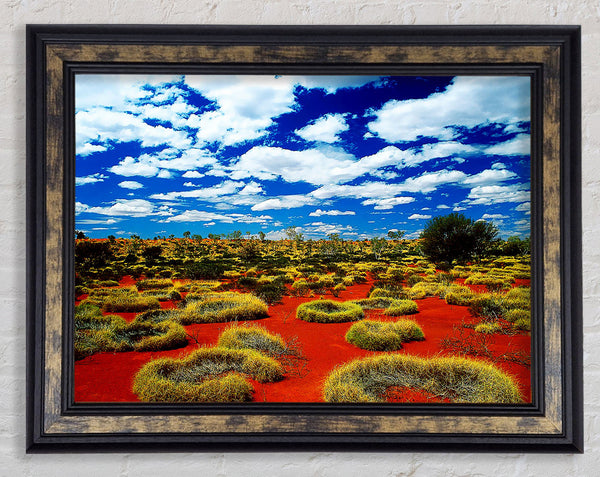 Desert Grass Framed Print
