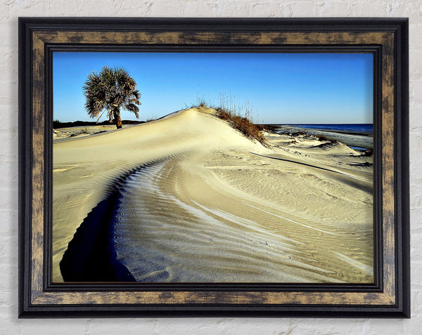 Desert Lonesome Tree Framed Print