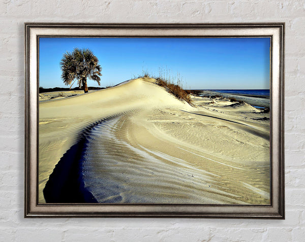 Desert Lonesome Tree Framed Print