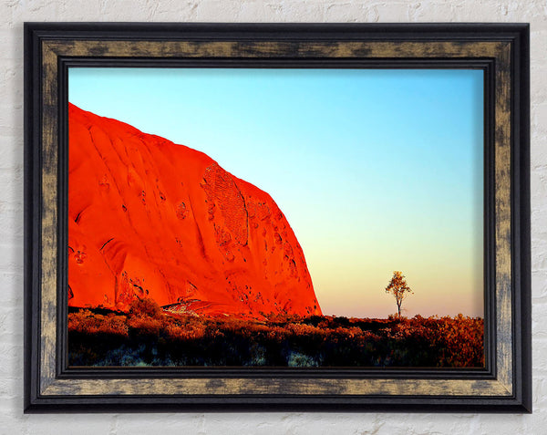 Ayres Rock Morning Glow Framed Print