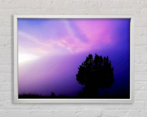 Lilac Tree Light Framed Print