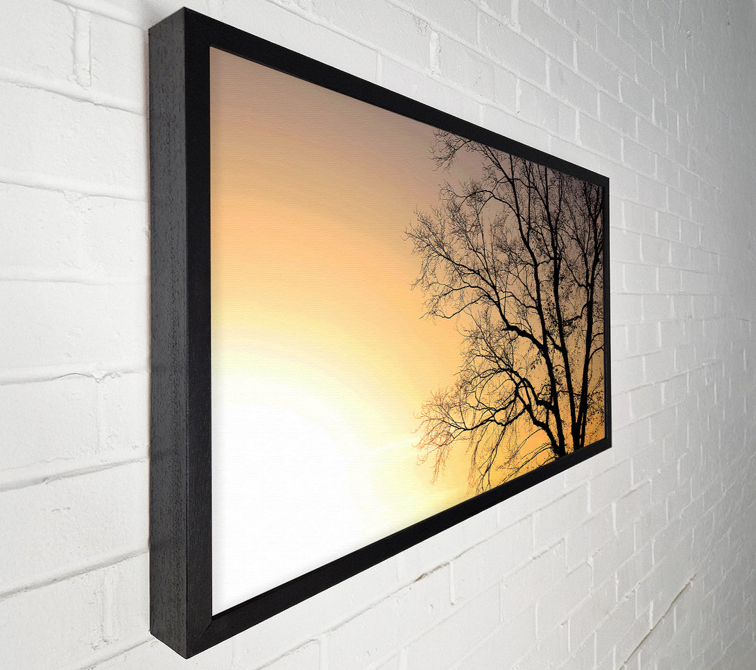  A Canvas Print of Calm Winter Sun Canvas Print