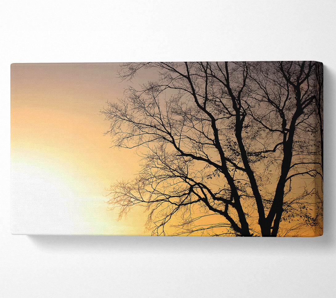  A Canvas Print of Calm Winter Sun Canvas Print