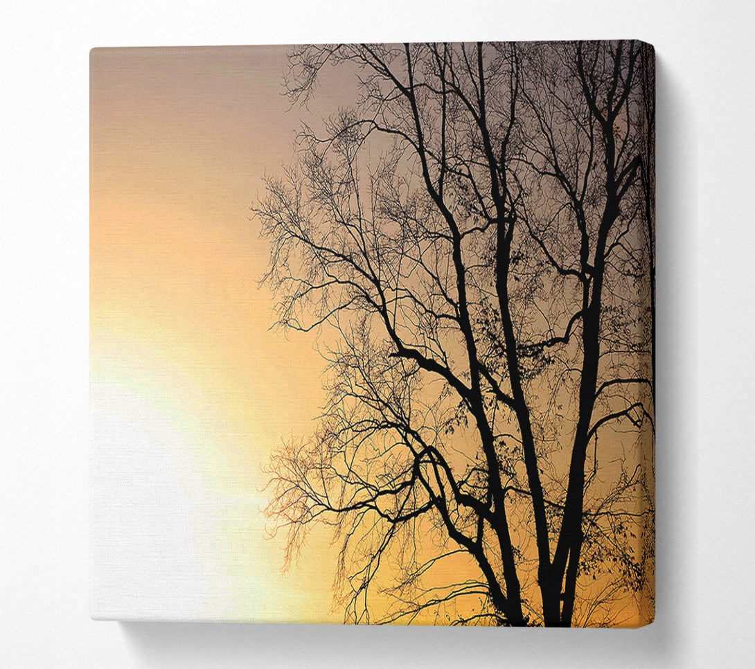  A Canvas Print of Calm Winter Sun Canvas Print