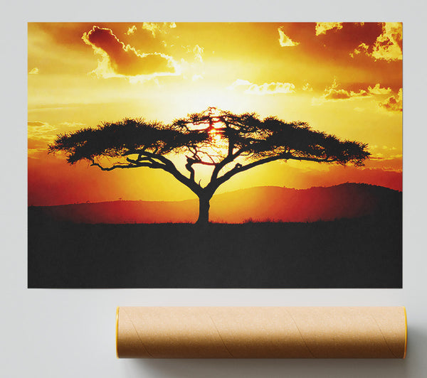 African Tree At Sunset Giclee Print