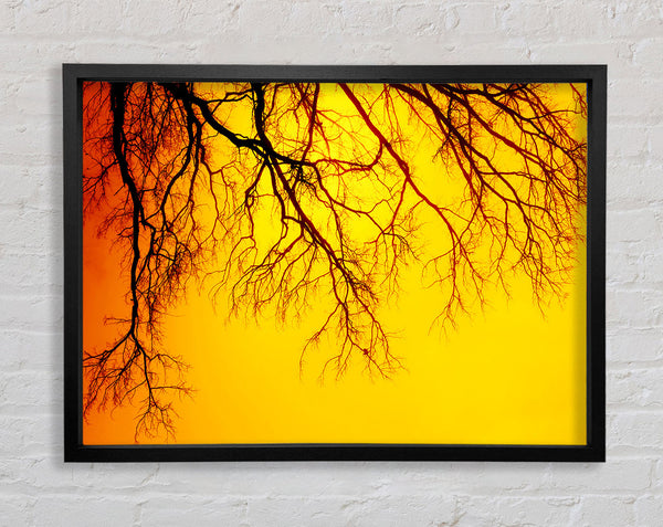 Golden Tree Branches Framed Print